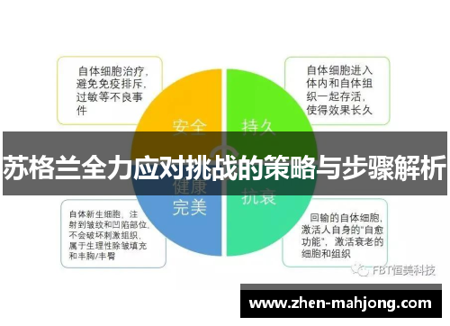 苏格兰全力应对挑战的策略与步骤解析