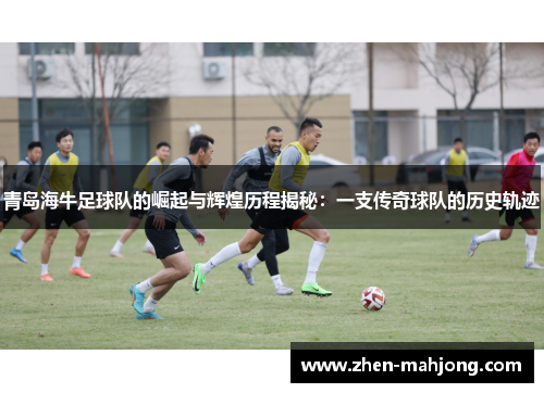 青岛海牛足球队的崛起与辉煌历程揭秘：一支传奇球队的历史轨迹